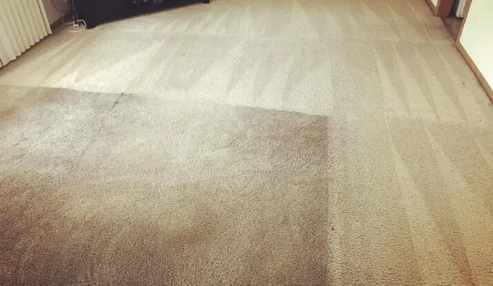 clean-dirty-carpet