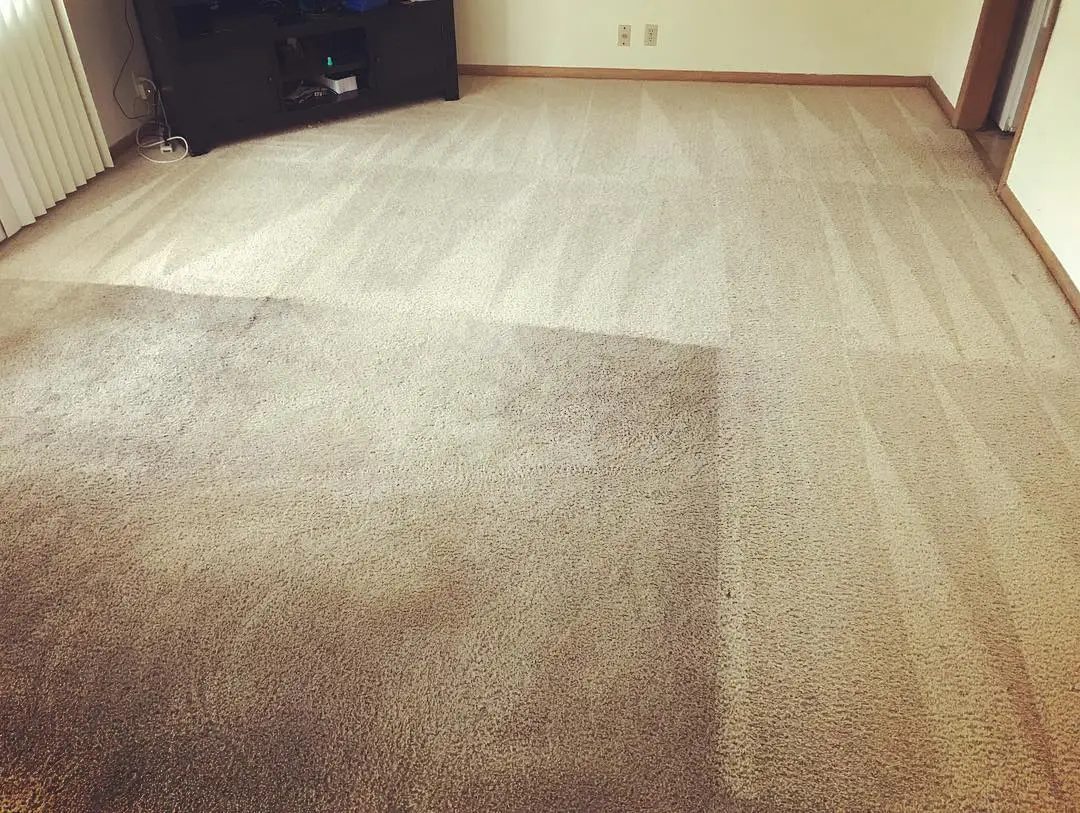 clean-dirty-carpet