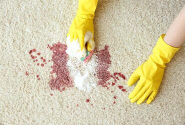 Hands in rubber gloves cleaning carpet with sponge and detergent